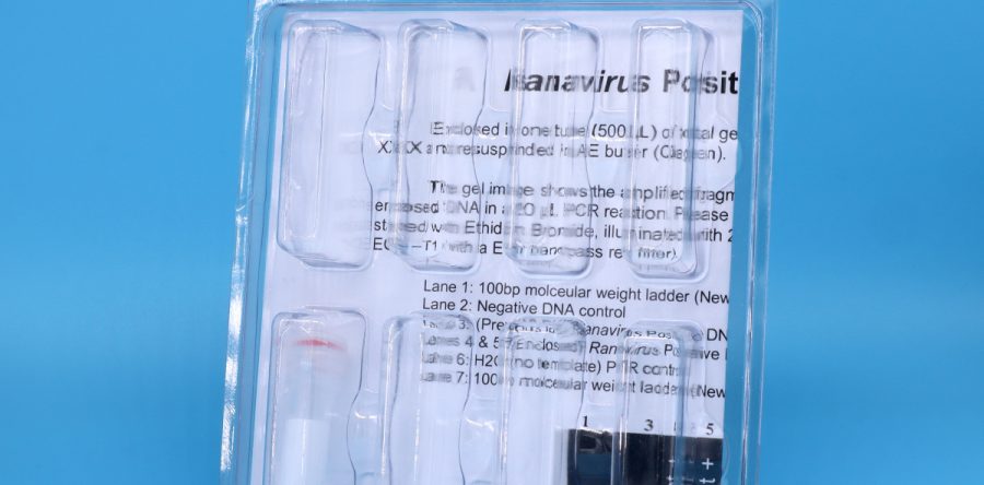 Ranavirus Genomic DNA PCR Control