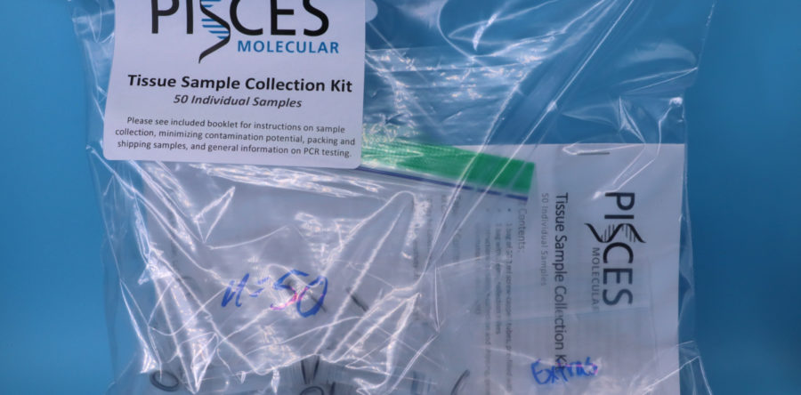 Small tissue sample/fin clip collection kit (50 samples)