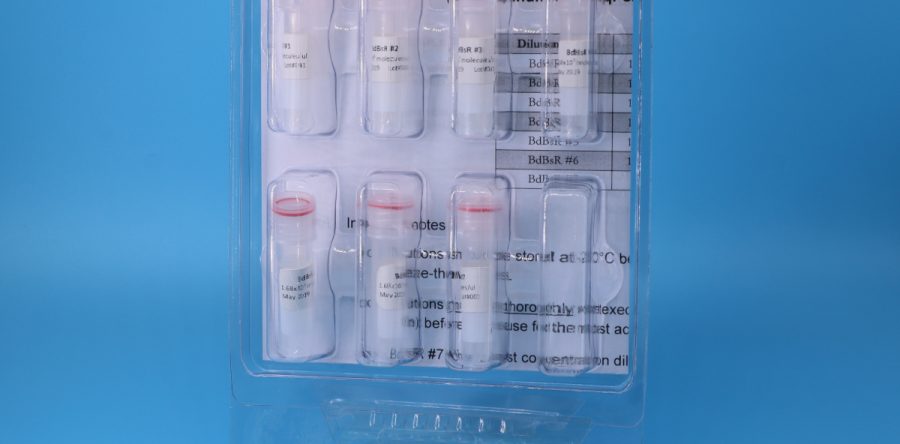D. geminata plasmid qPCR control kit