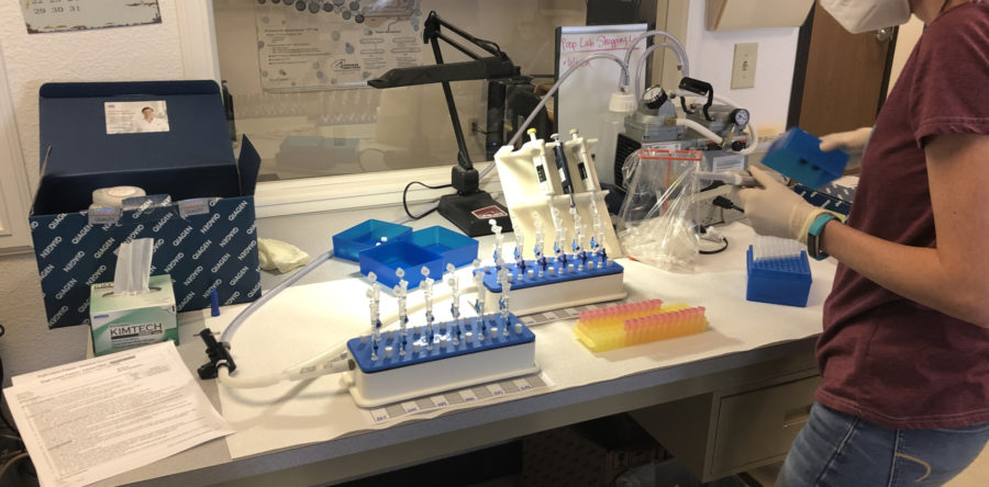 “Instant” temporal studies from archived DNA samples